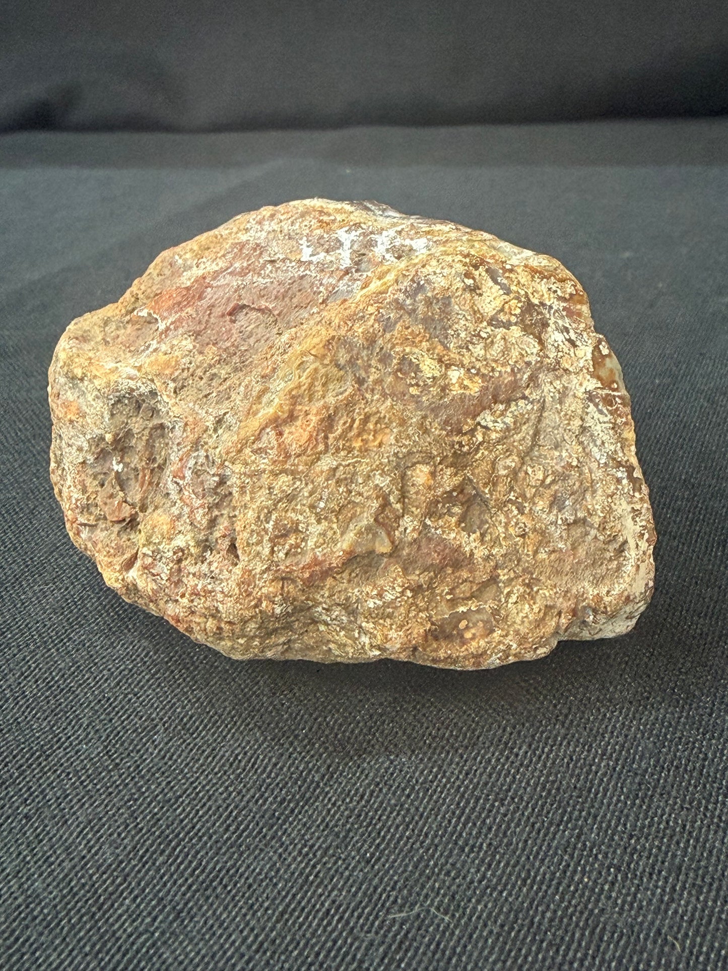 “The Swimmer” KY Agate