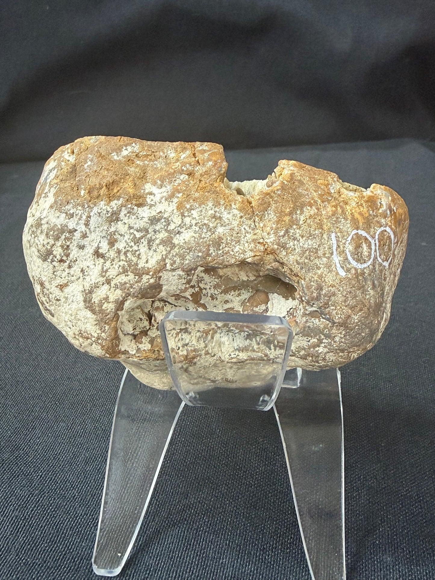 “Hippo” KY Agate