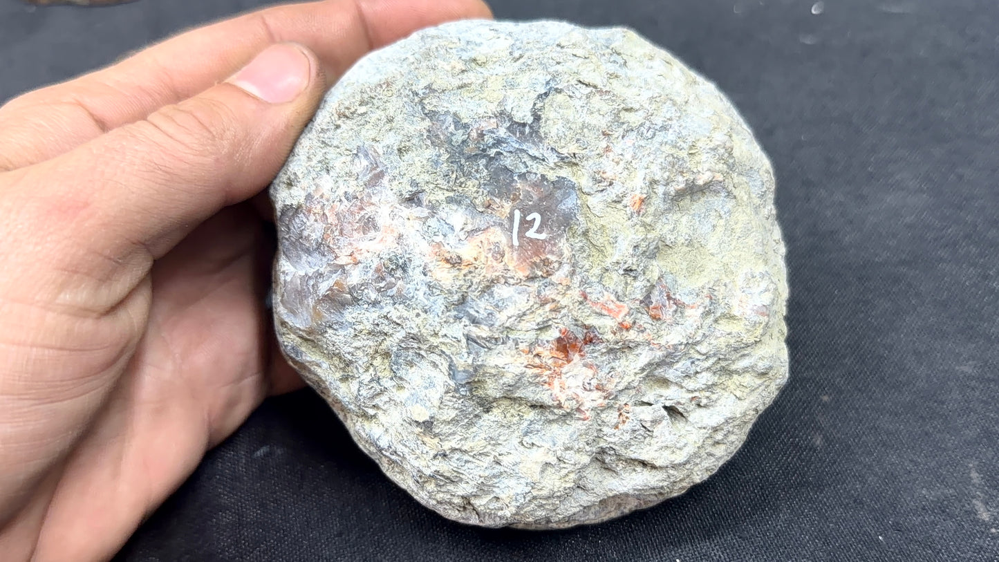 Black and Calcite Kentucky Agate