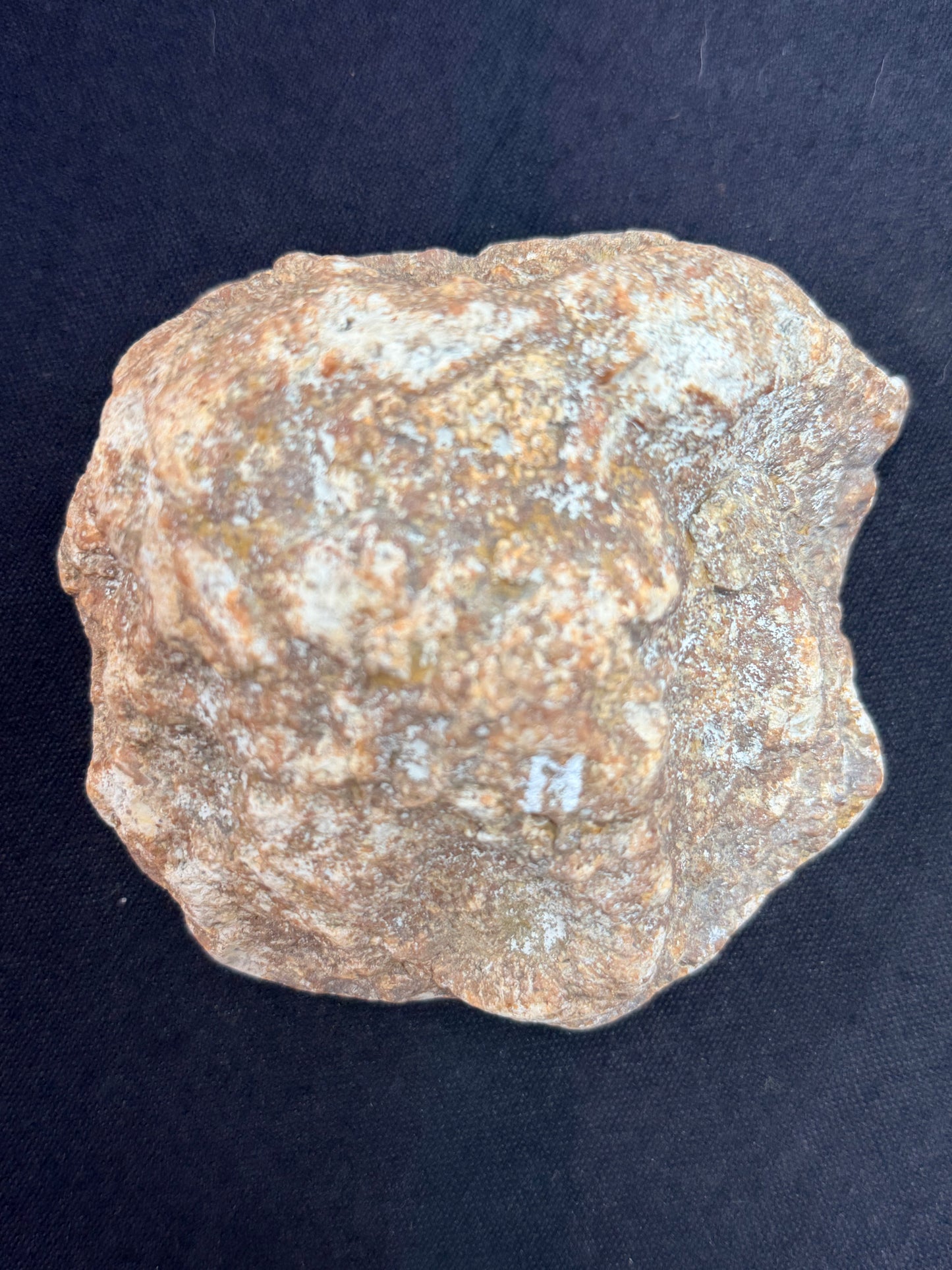 Botryoidal Belly and Blue Gray Ky Agate