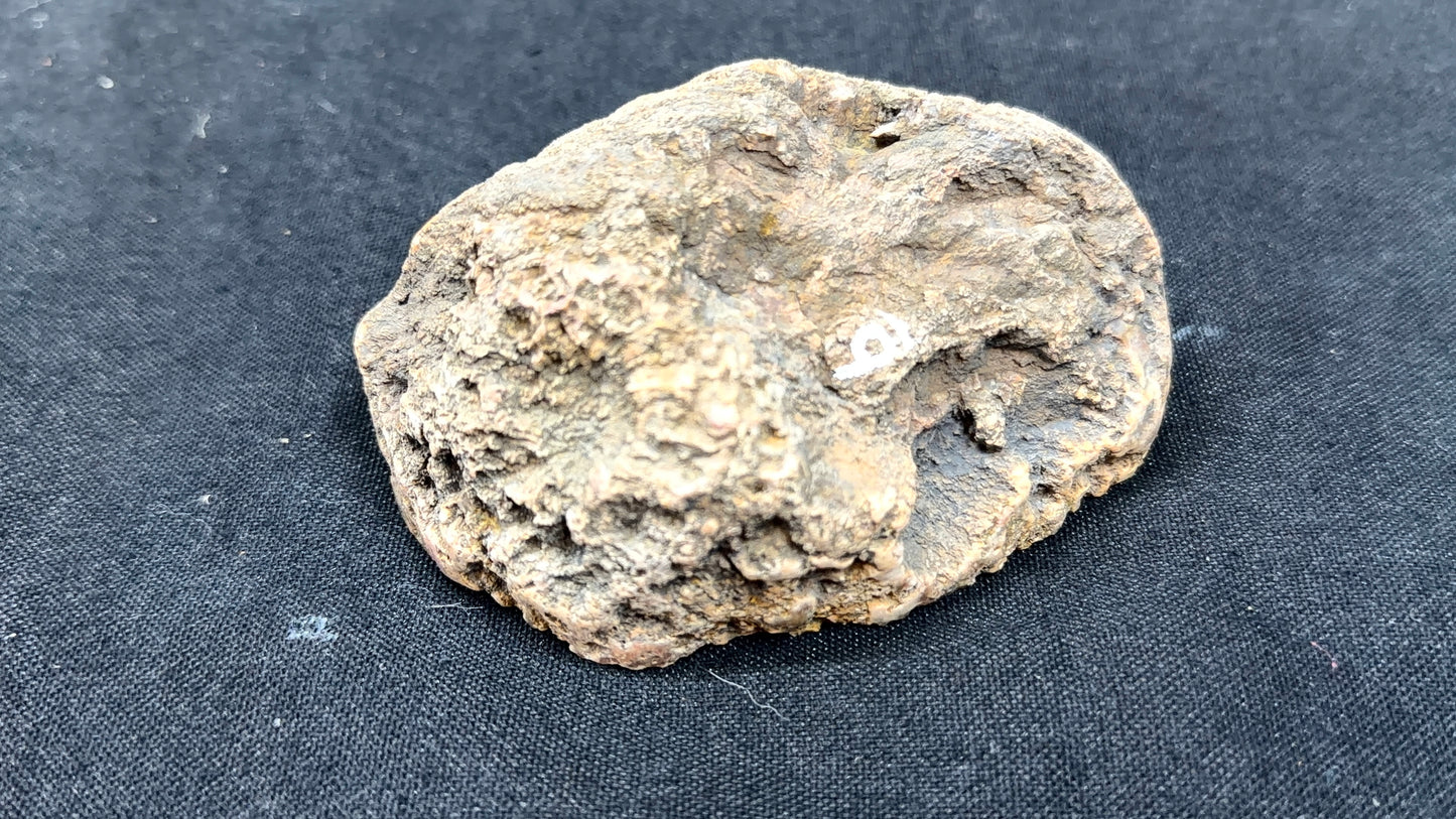 Red ghost band and Yellow Kentucky Agate