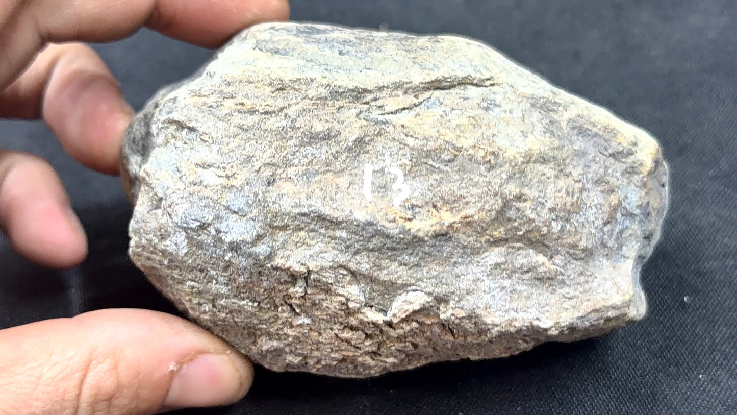 Gray Banded Moss Kentucky Agate