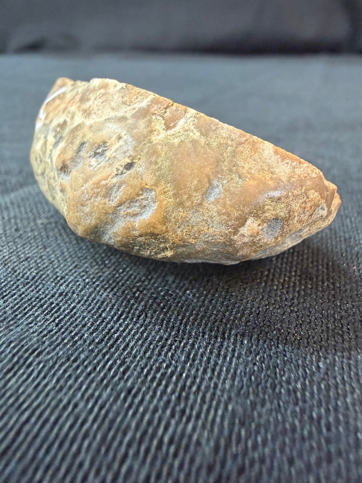 Brown “Galaxy” Moss KY Agate