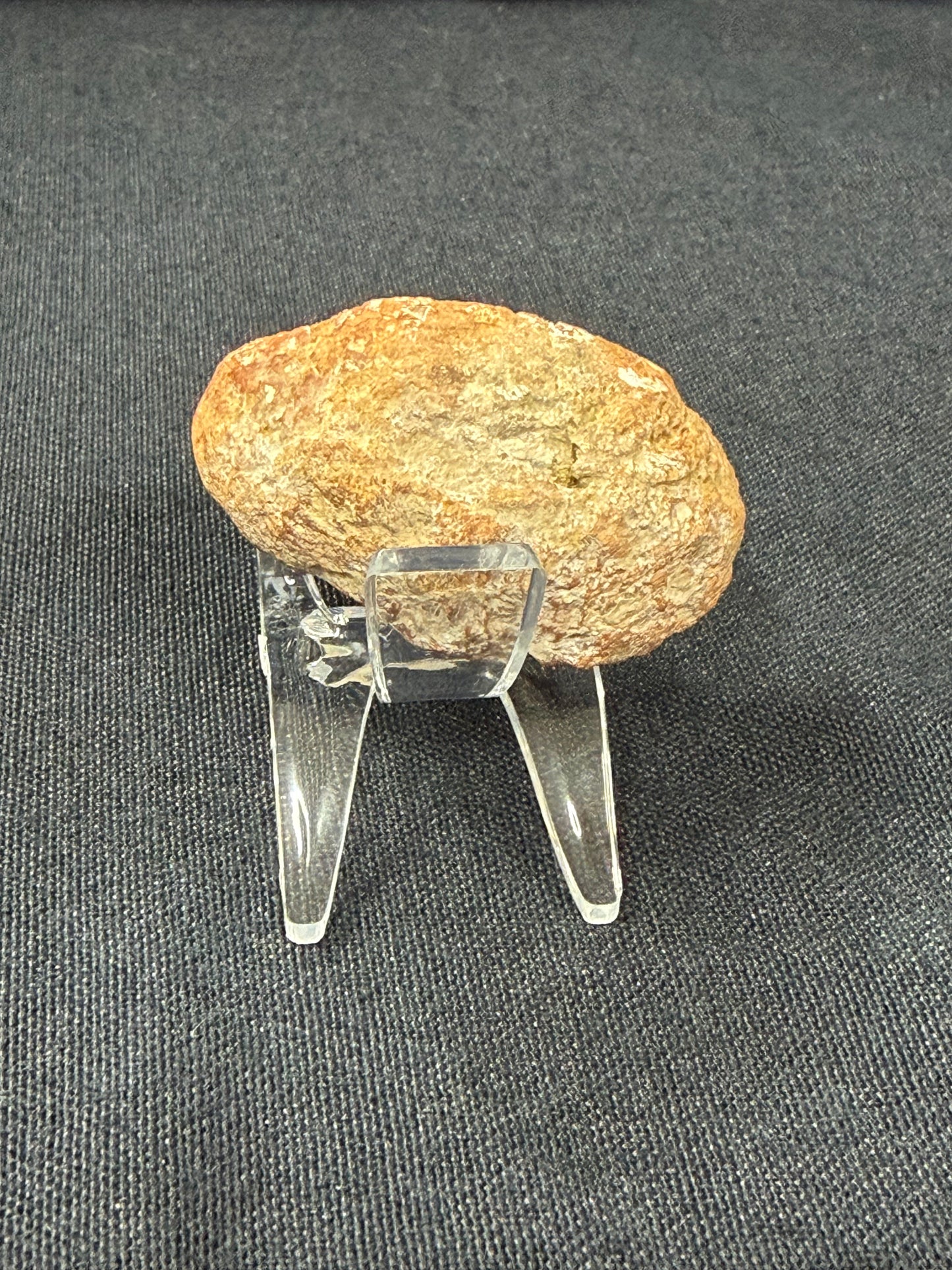 “Bottom Dweller” KY Agate