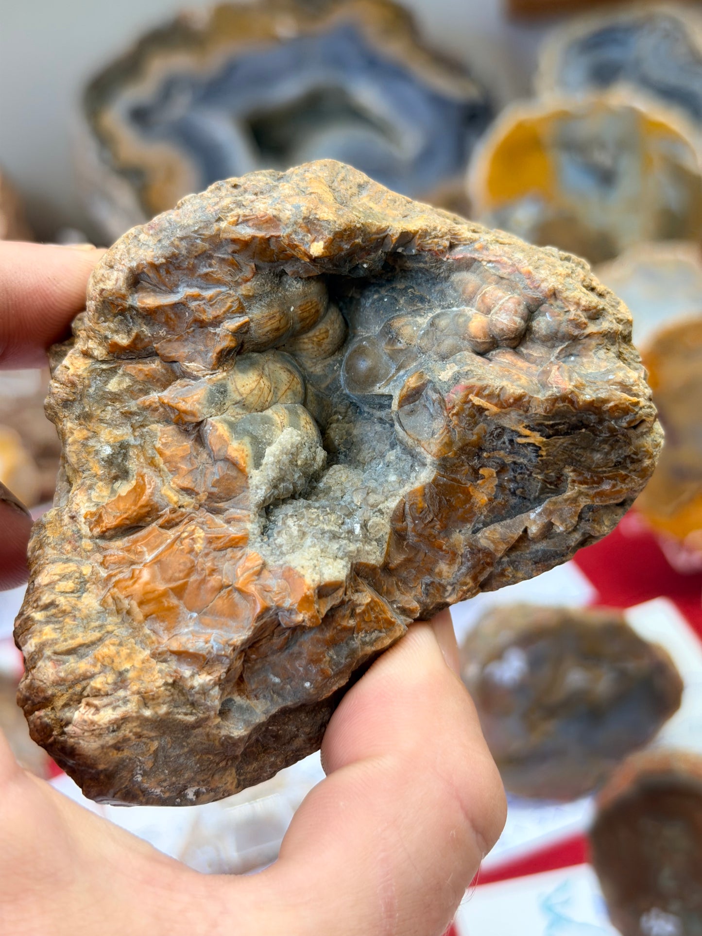 Yellow triangle Kentucky Agate
