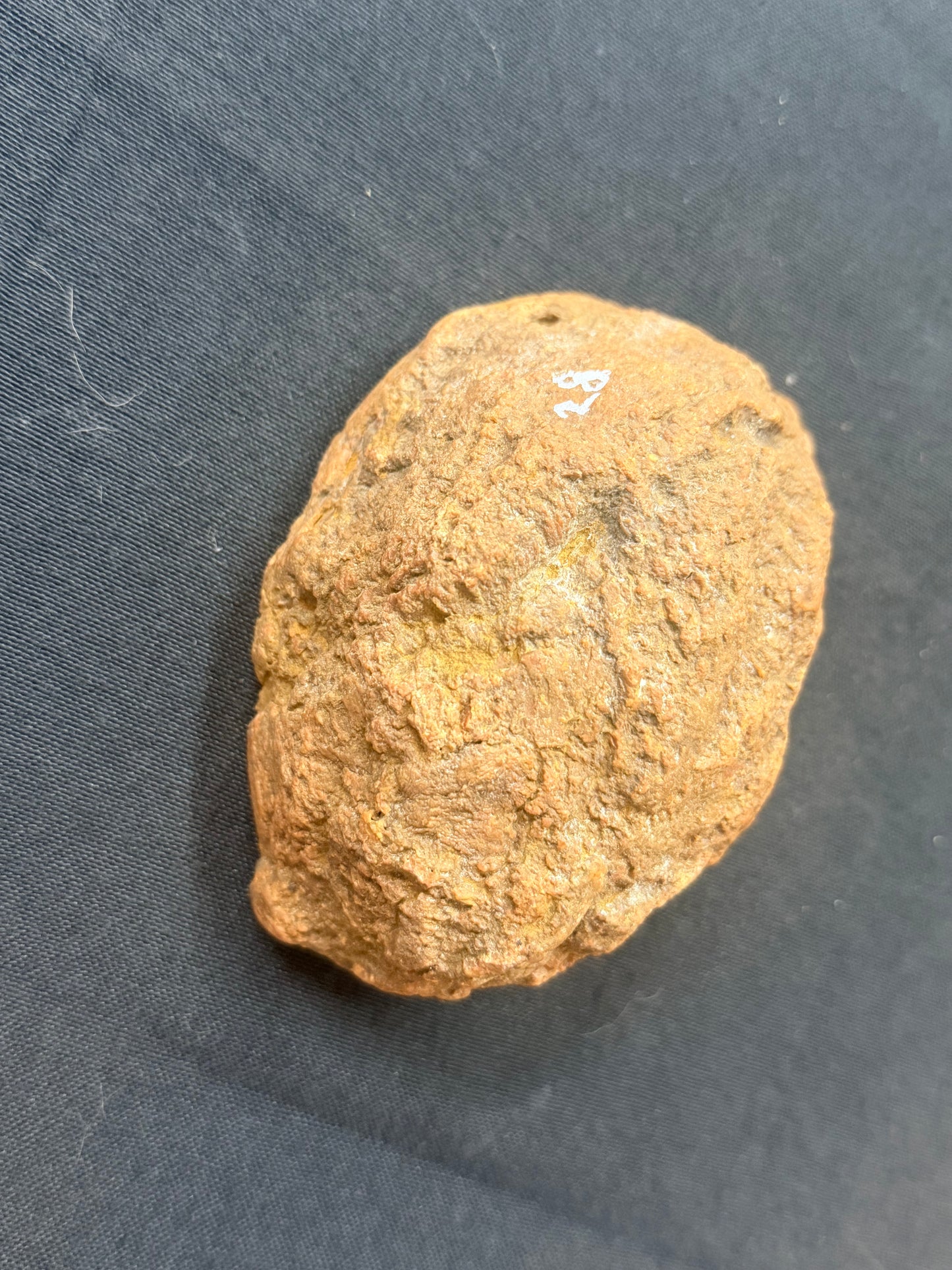 Yellow banded Beauty! Ky agate