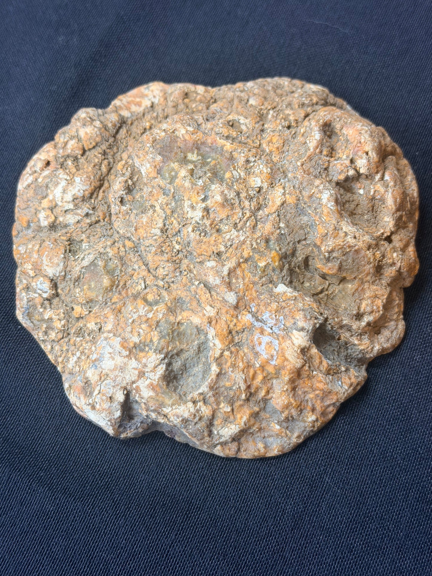 Erratic Kentucky Agate!