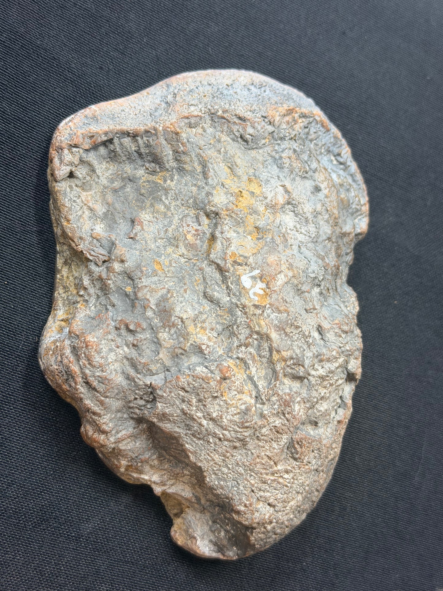 Eyeball Kentucky Agate with excellent Banding