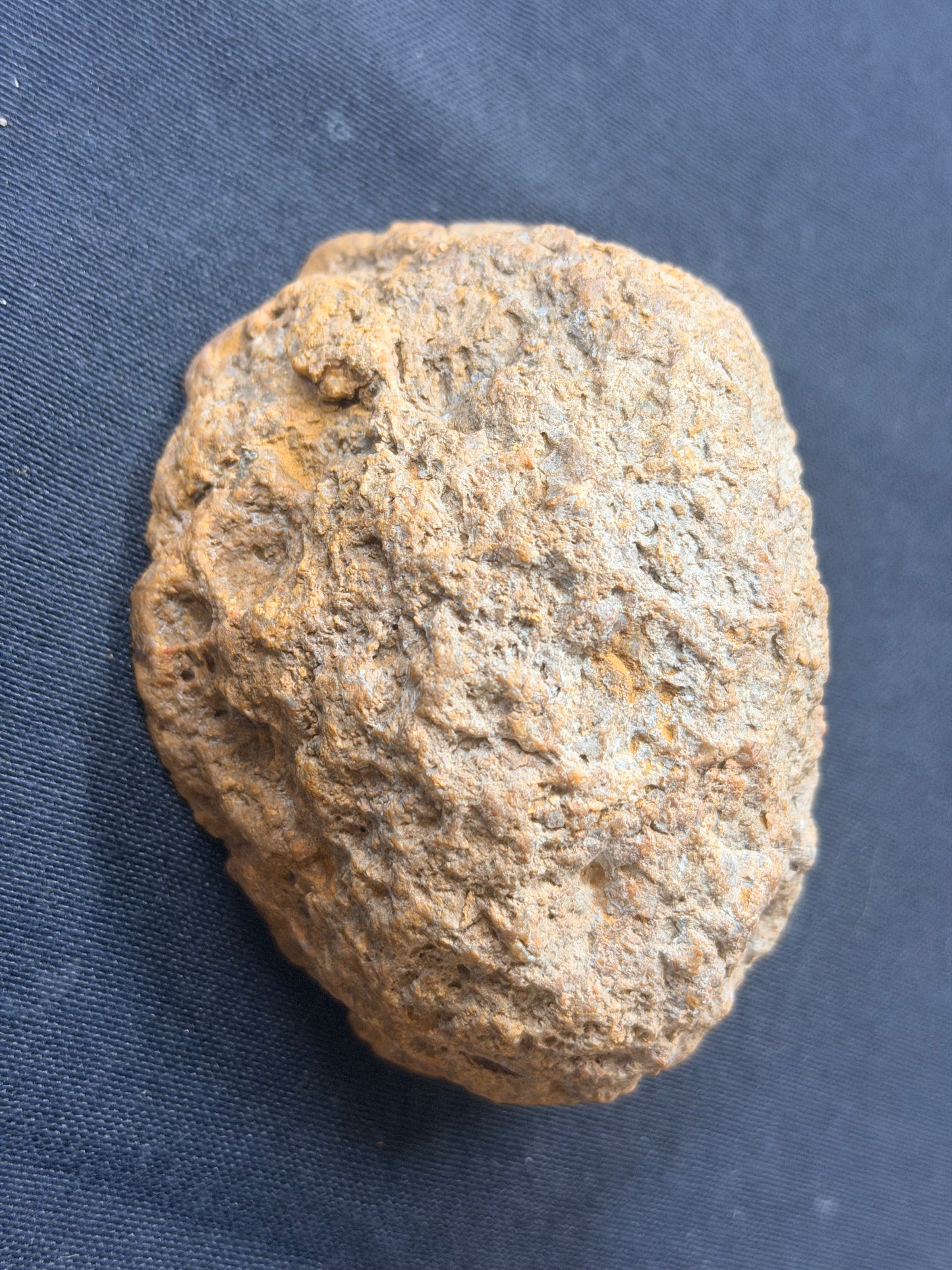 Pink eyes! Kentucky Agate