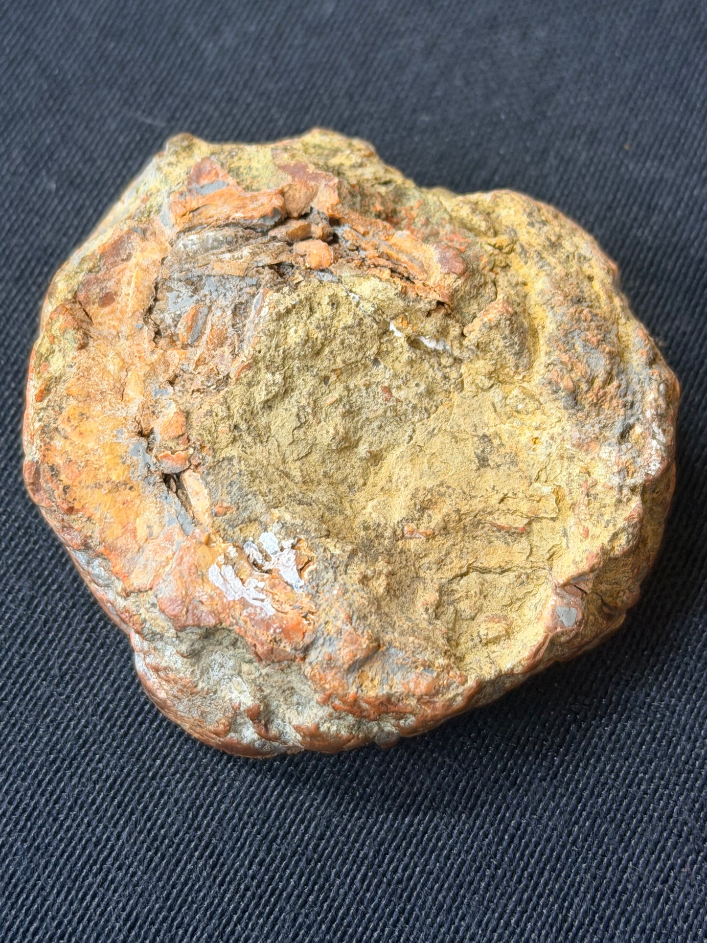 “Explosion” Kentucky agate