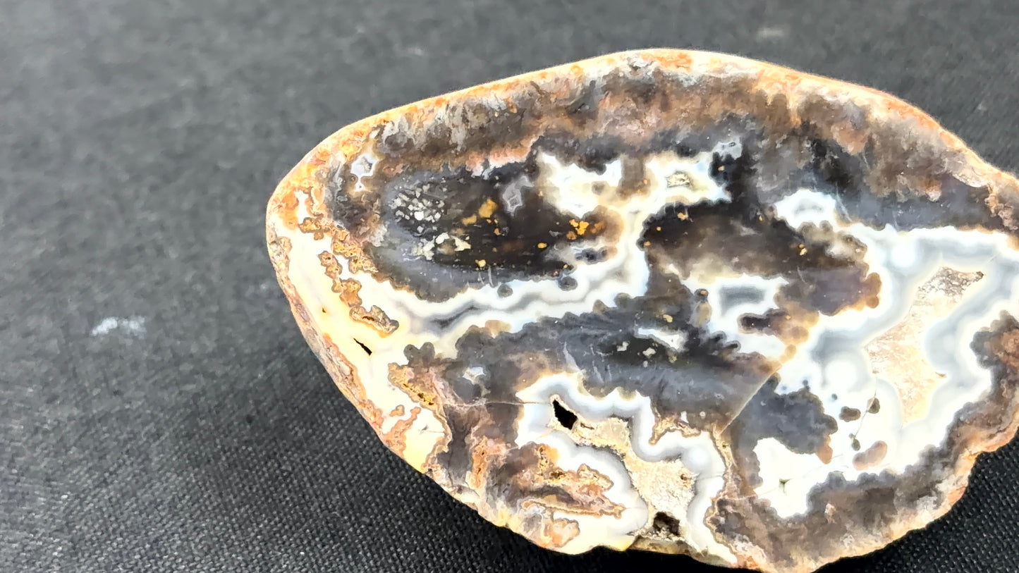 Gray and Neutral Toned Kentucky Agate