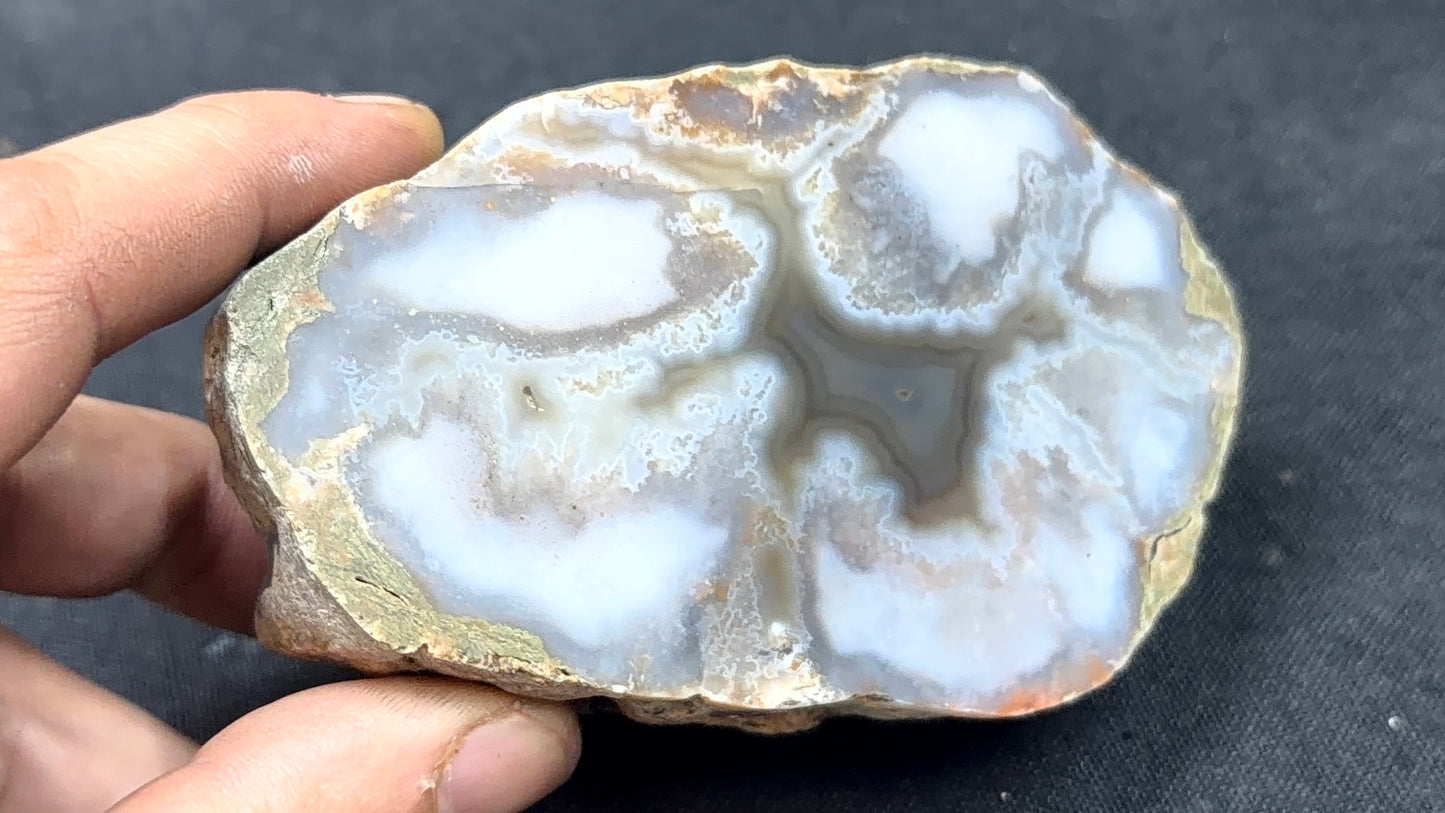 Gray Banded Moss Kentucky Agate