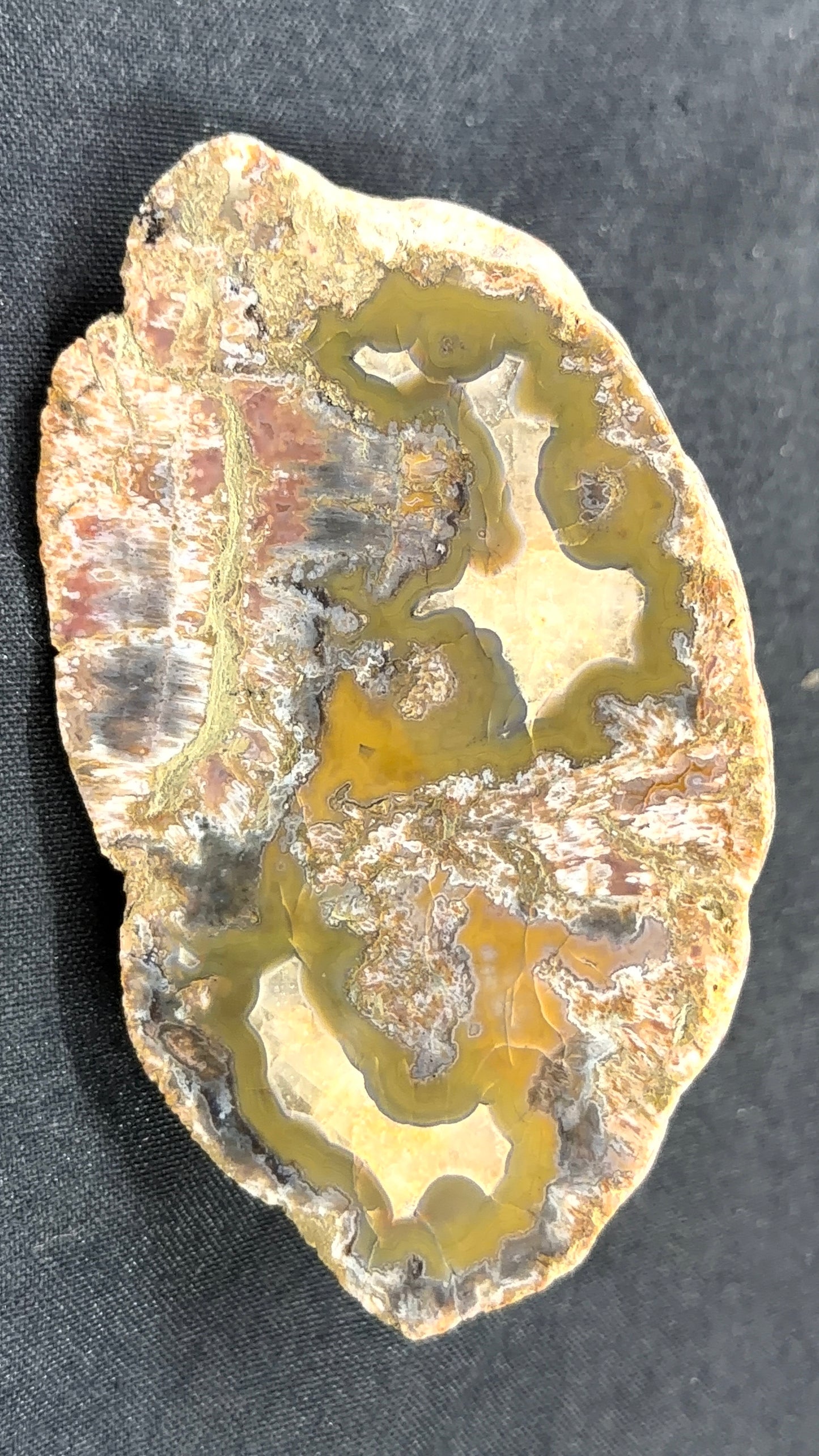 Yellow and greenish Kentucky Agate