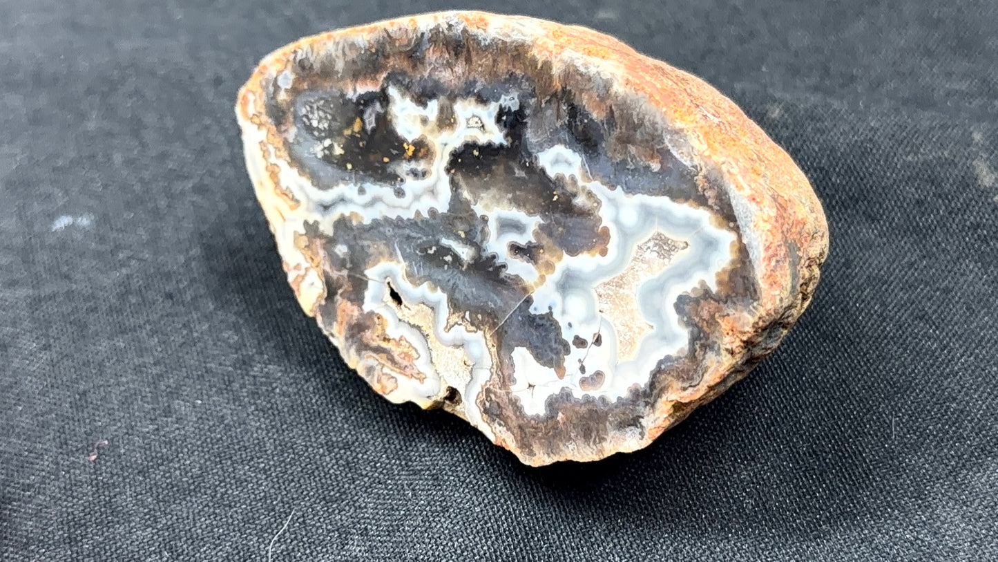 Gray and Neutral Toned Kentucky Agate