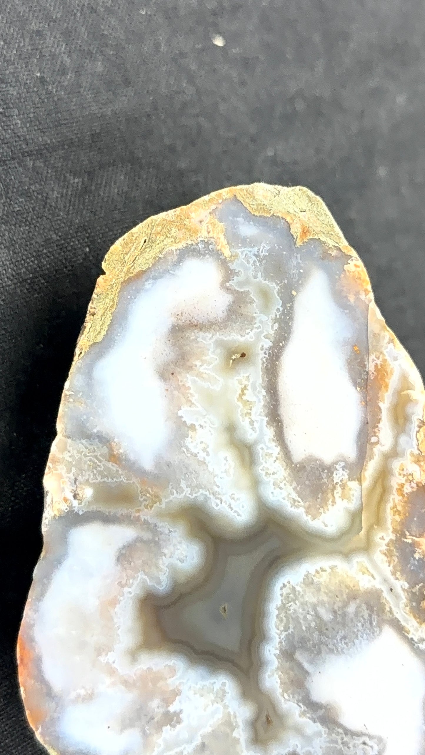 Gray Banded Moss Kentucky Agate