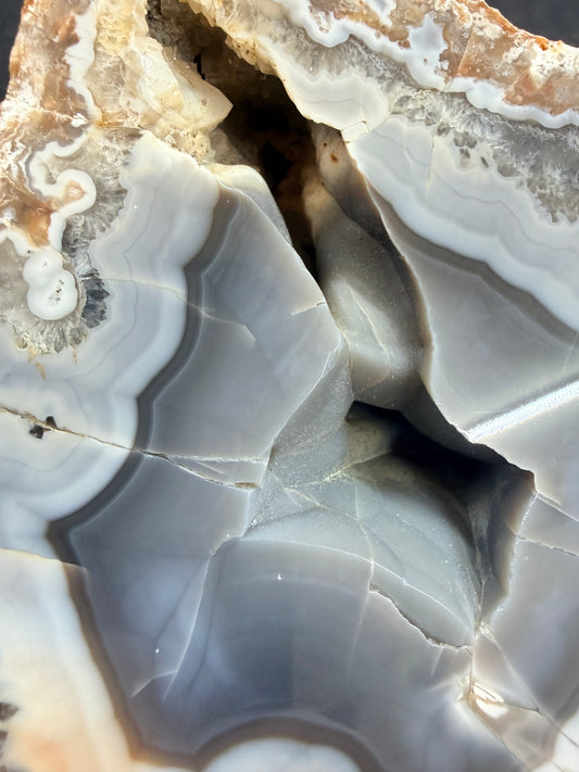 Botryoidal Belly and Blue Gray Ky Agate