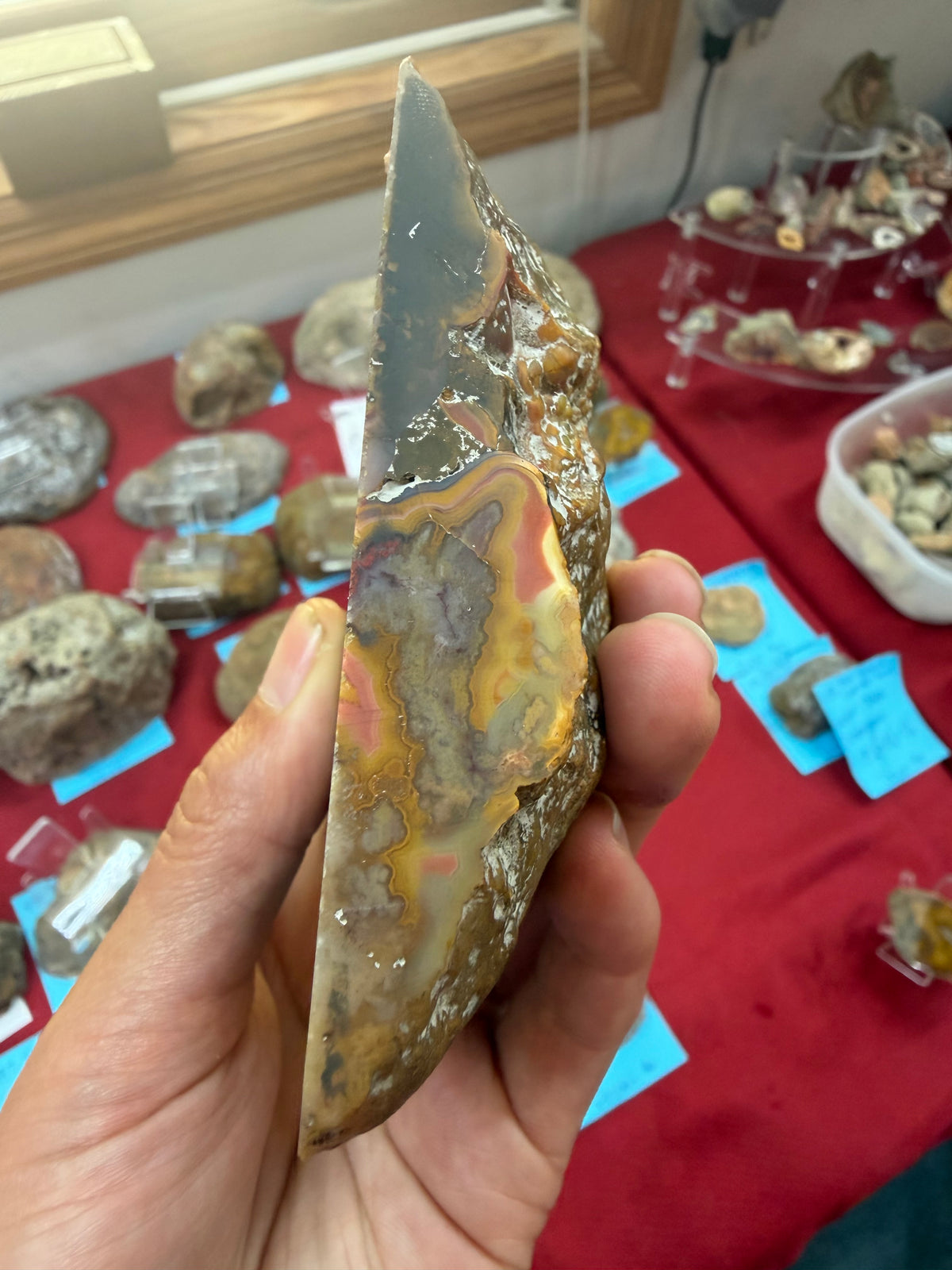Pizza Agate