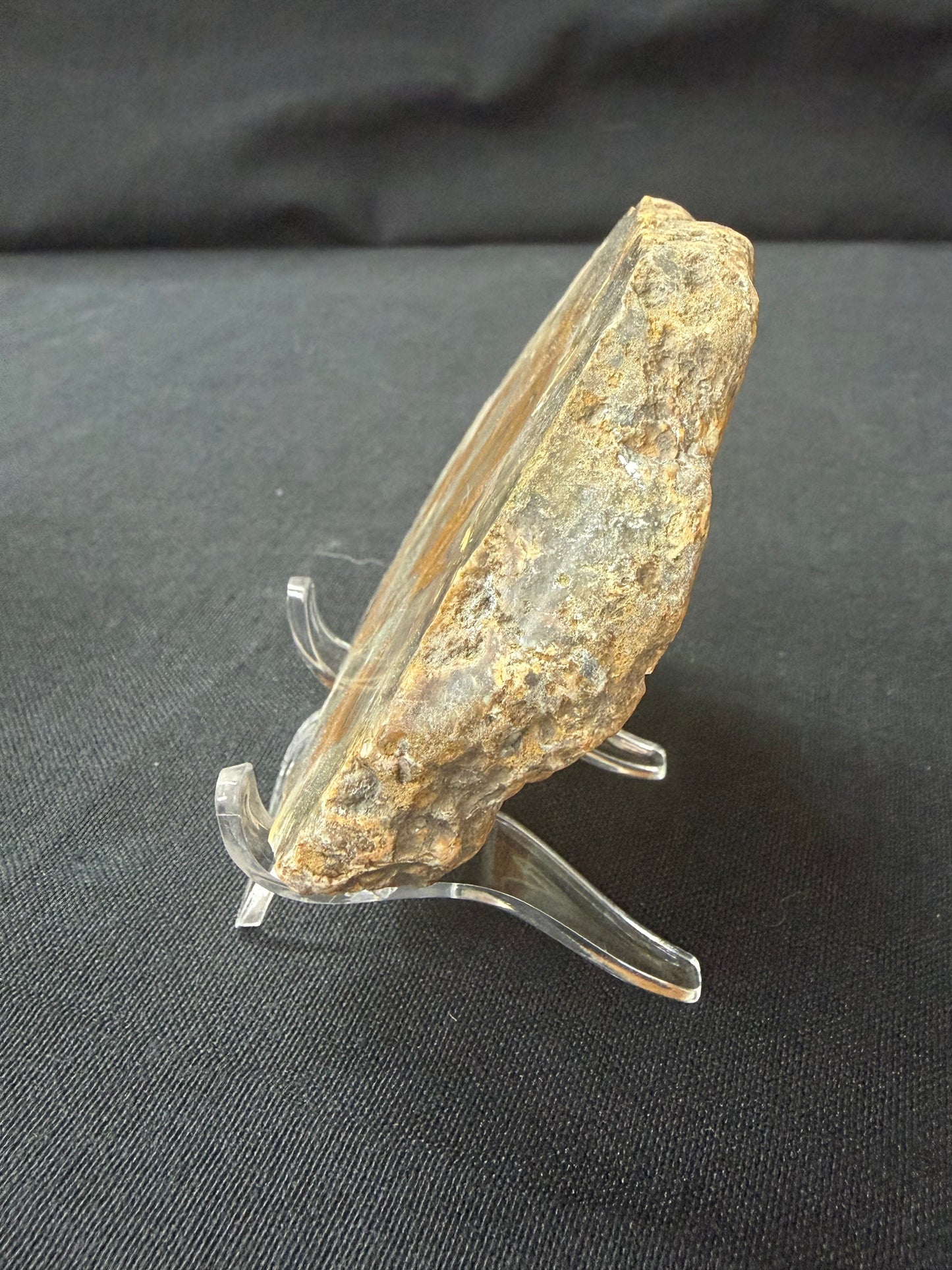 “Stick Figure” KY Agate