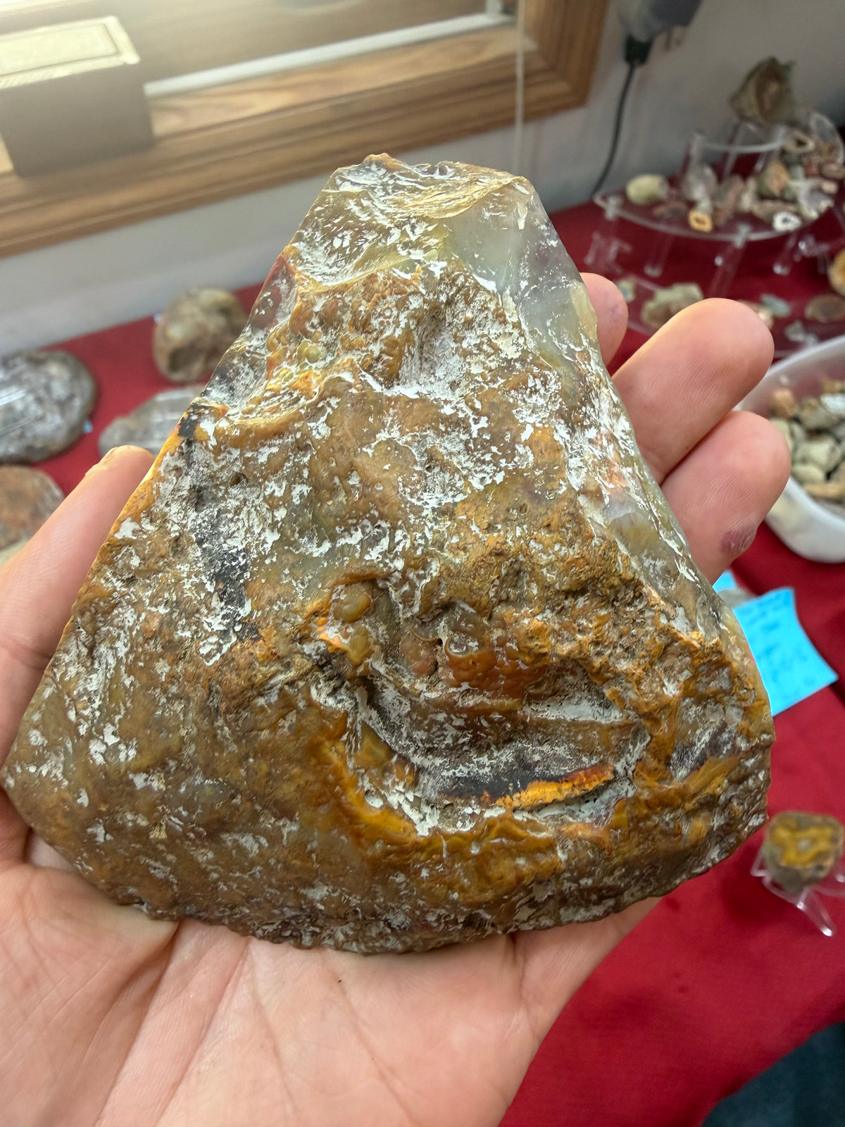 Pizza Agate