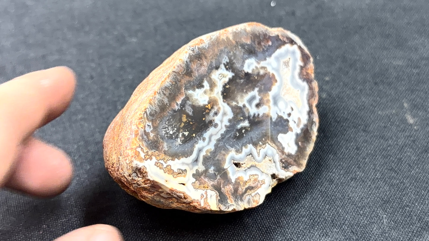 Gray and Neutral Toned Kentucky Agate