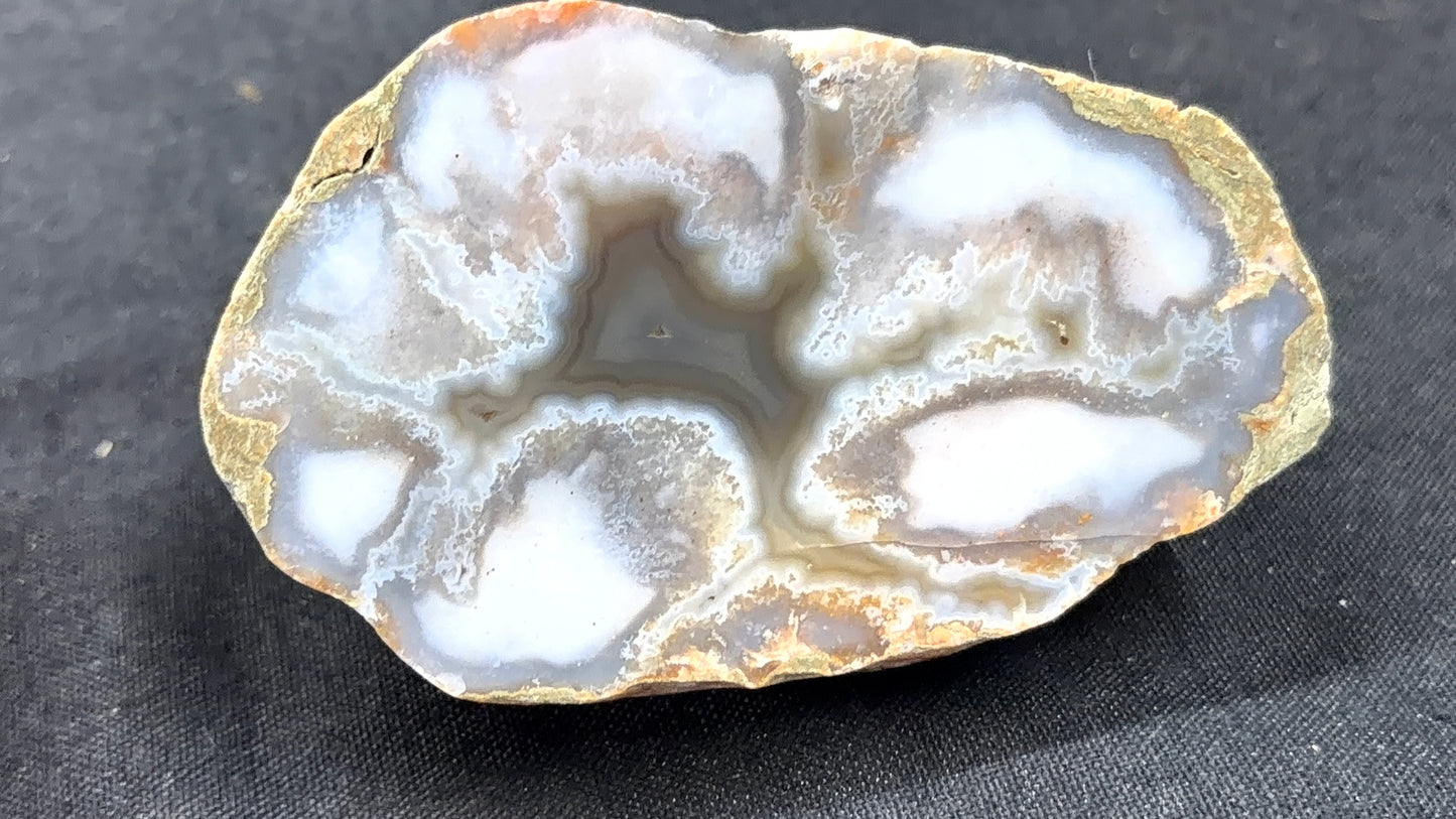 Gray Banded Moss Kentucky Agate