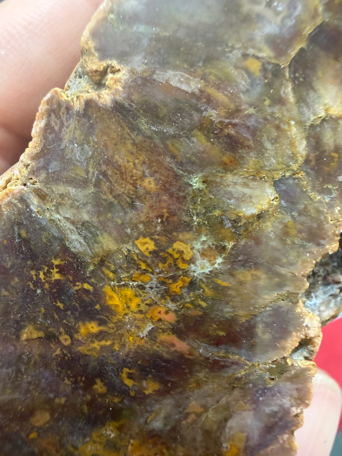 Collapsed Drip Agate