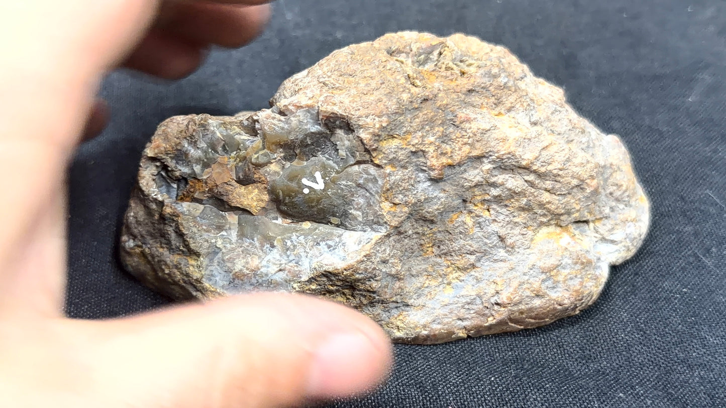 Yellow and greenish Kentucky Agate