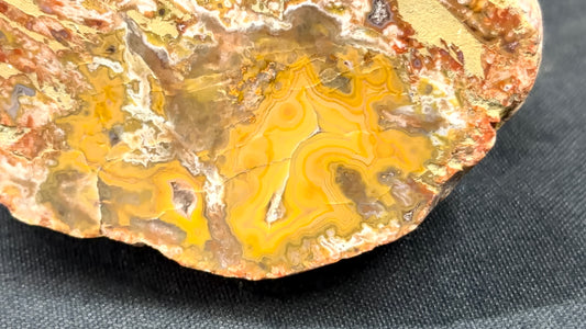 Kentucky Agate and Dolostone