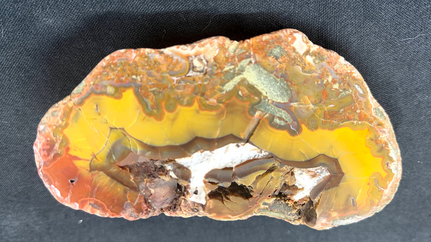 Brecciated Kentucky Agate with Forest Fire Red