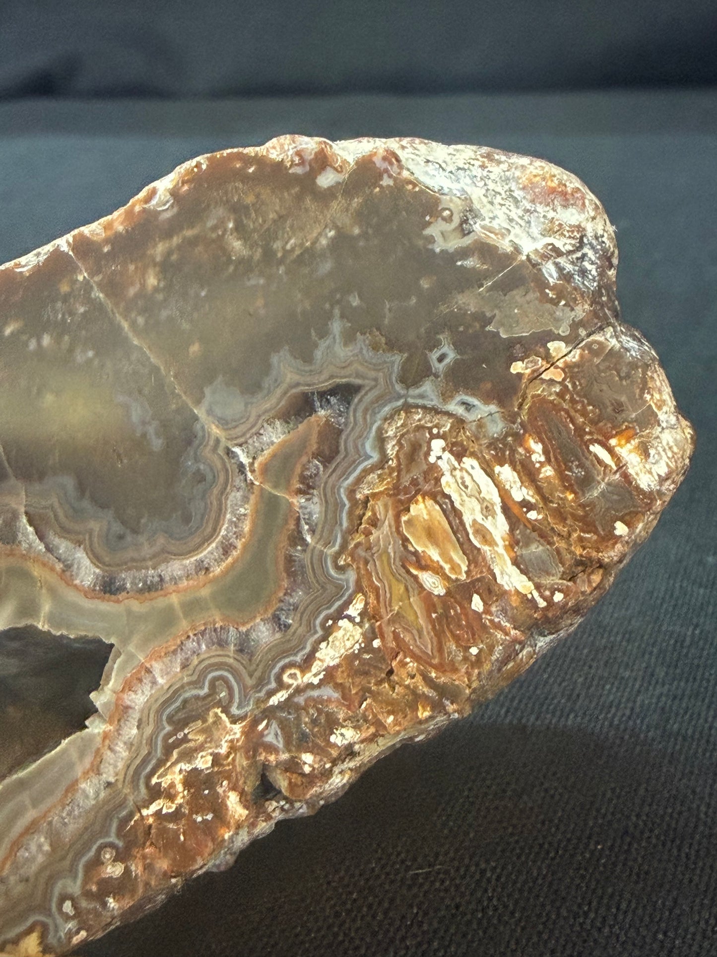 “The Swimmer” KY Agate