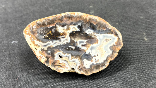 Gray and Neutral Toned Kentucky Agate