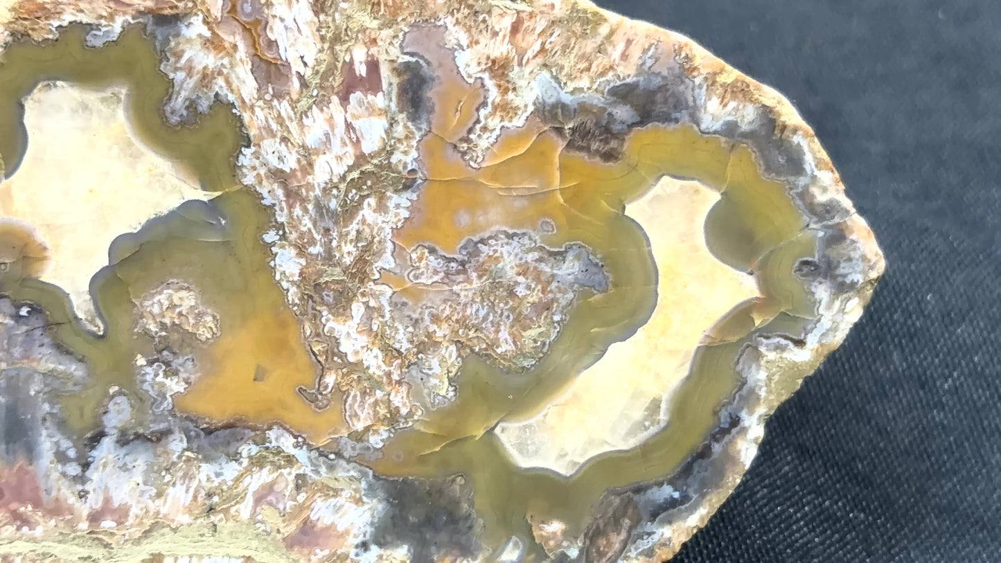 Yellow and greenish Kentucky Agate