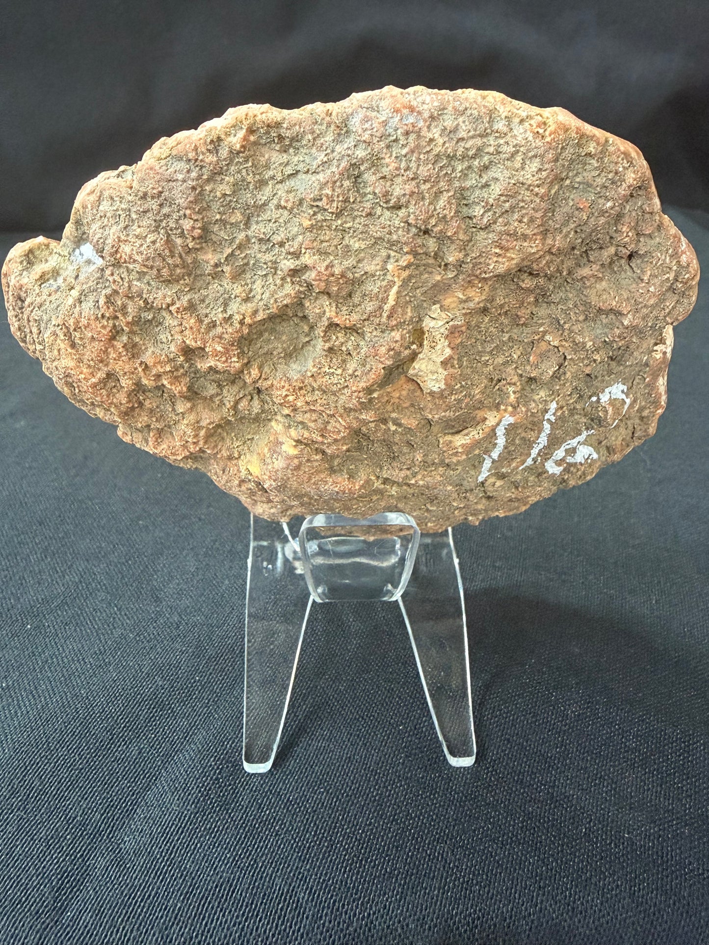 “Cheese” KY Agate