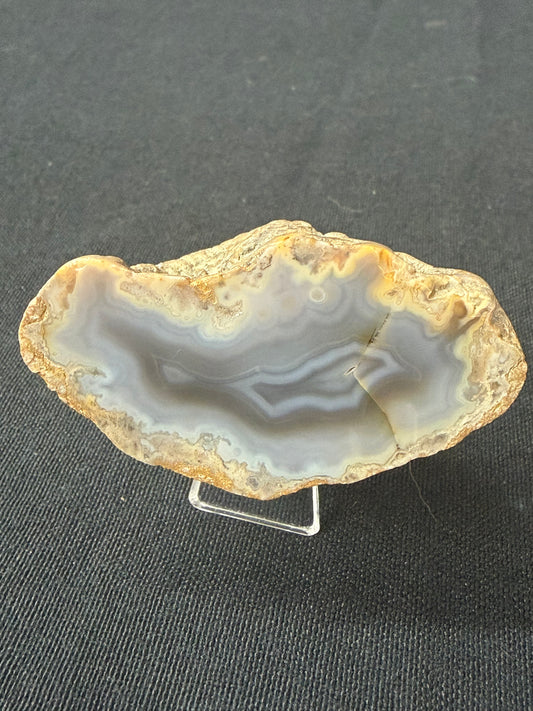 “Blues baby” Kentucky agate