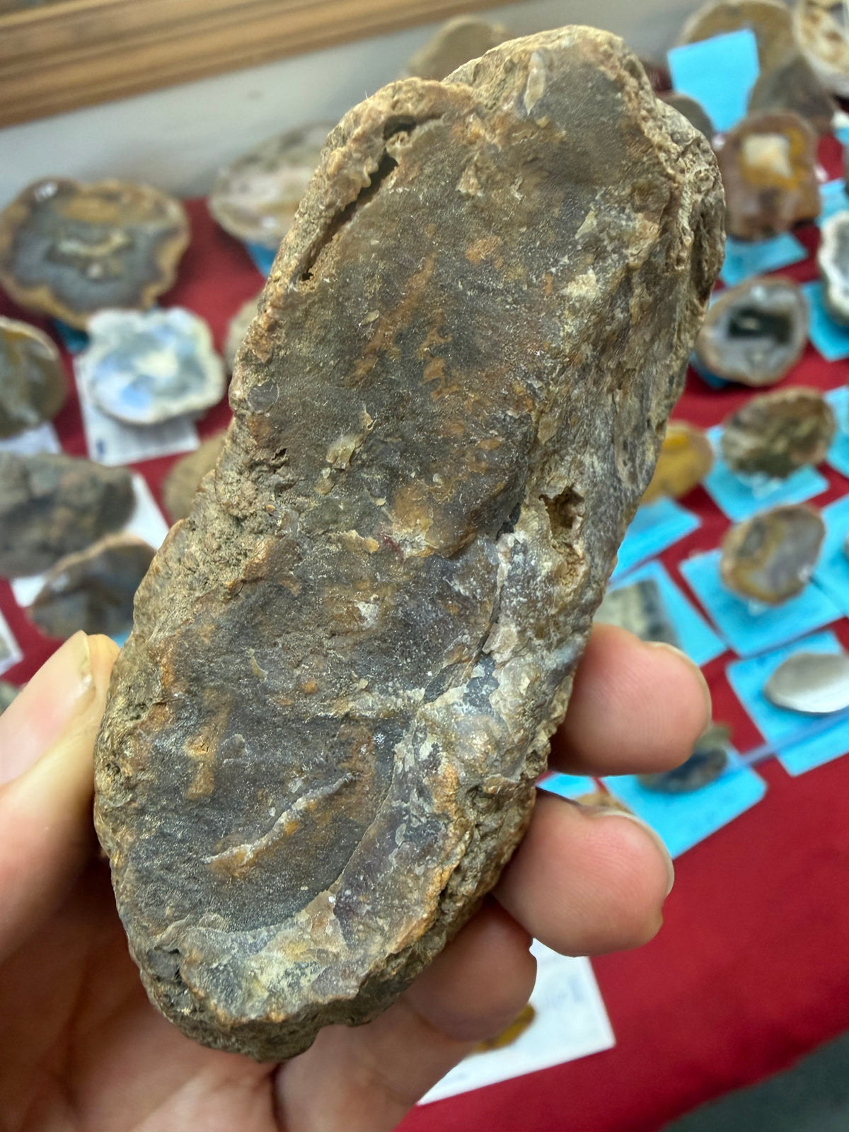 Collapsed Drip Agate