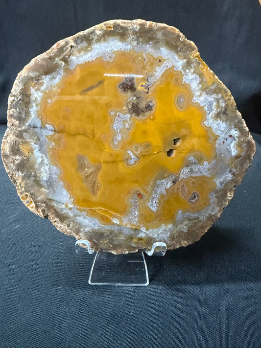 “Evil Pac Man” KY Agate