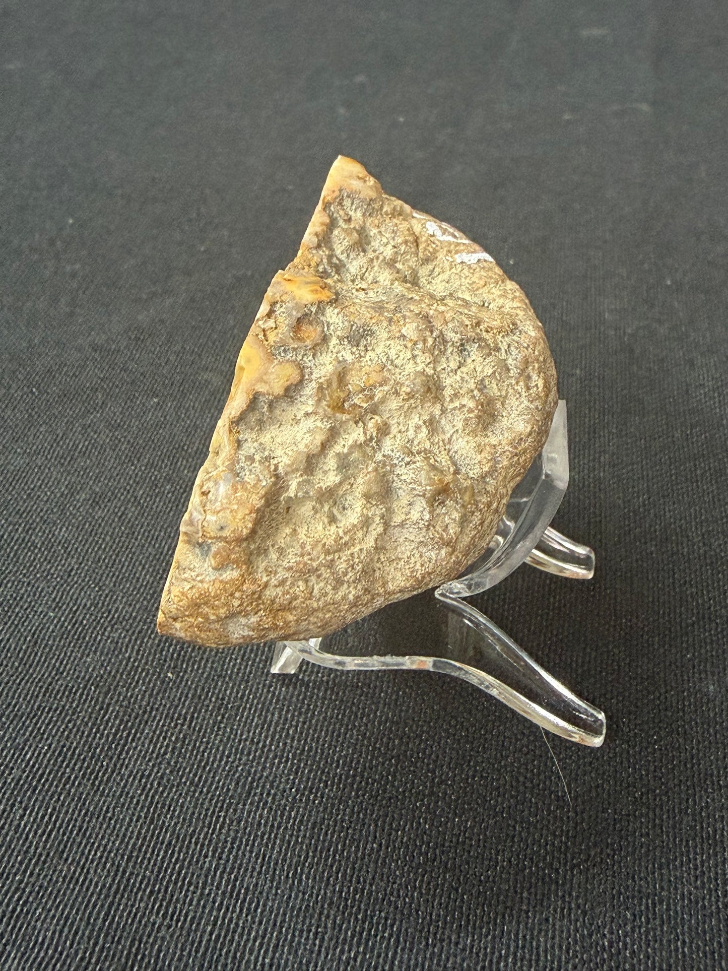 “Blues baby” Kentucky agate