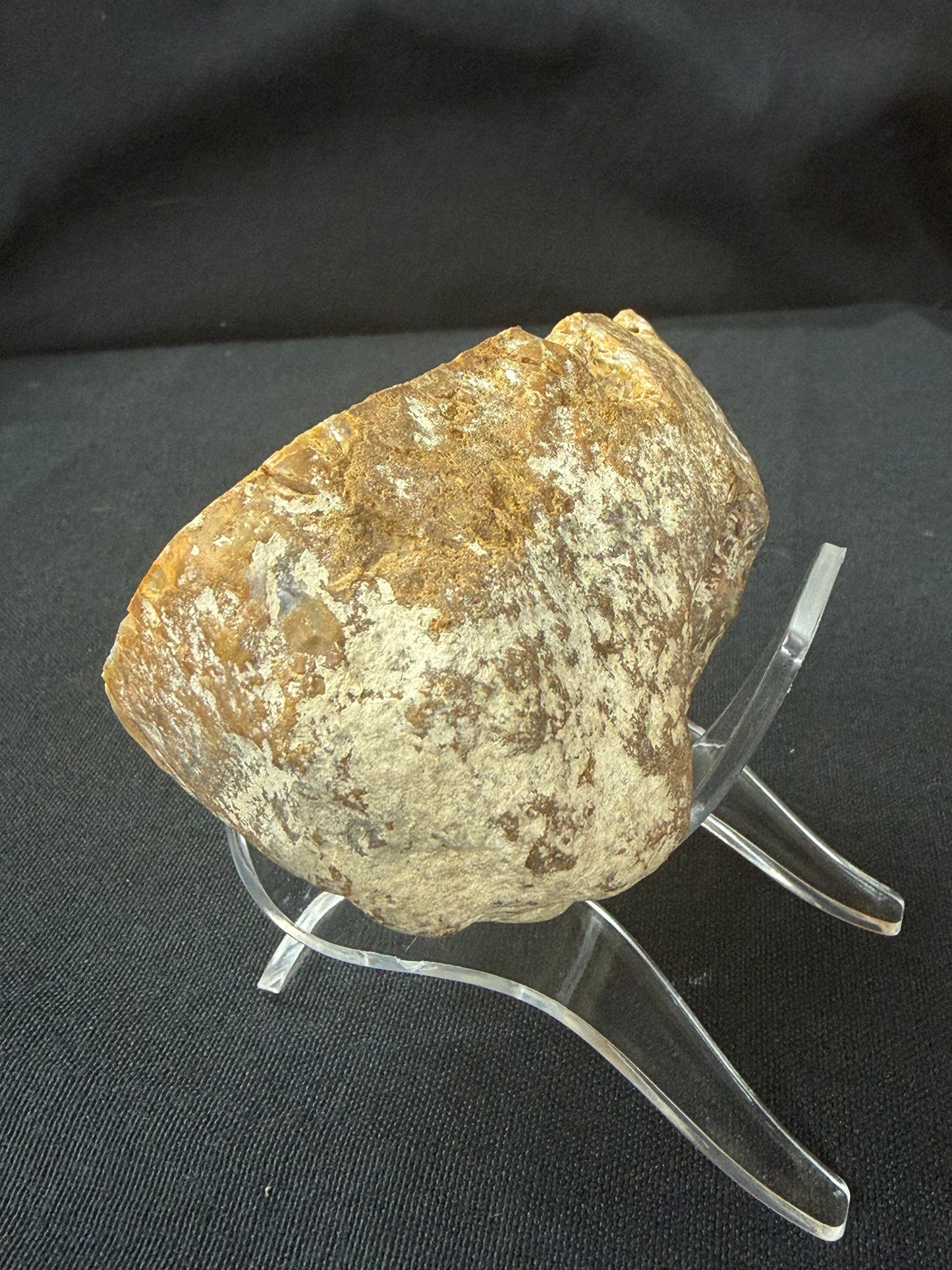 “Hippo” KY Agate