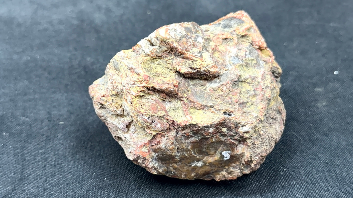 Kentucky Agate and Dolostone