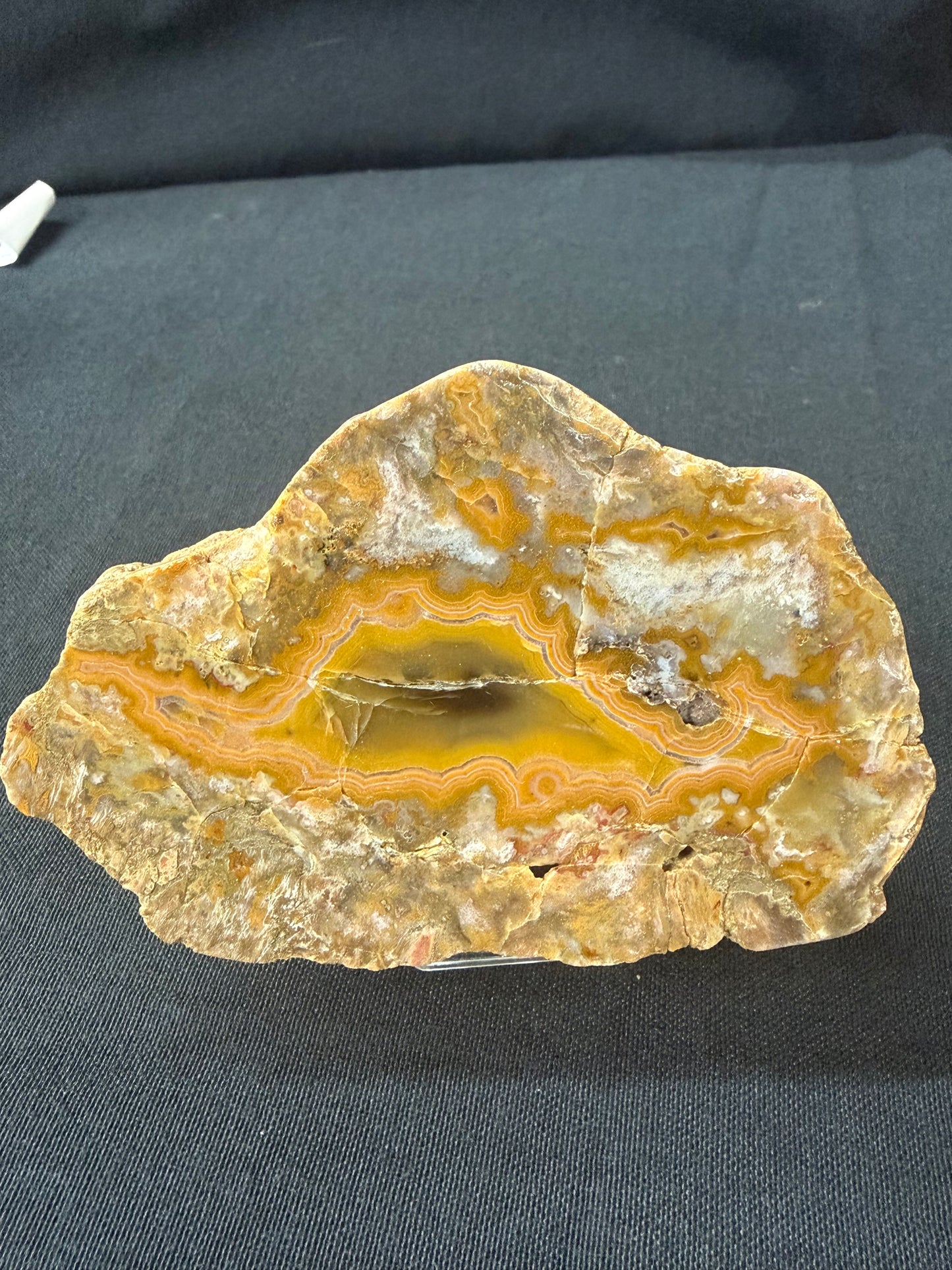 “Dino” KY Agate