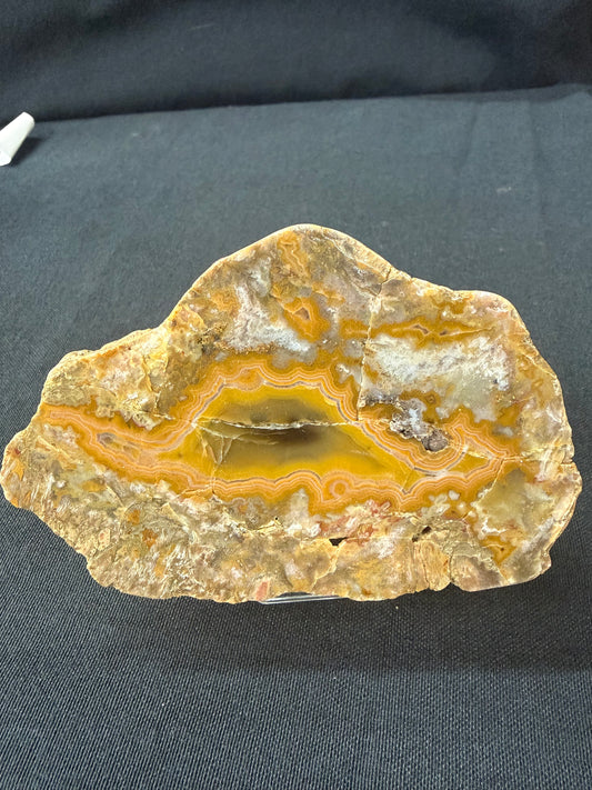 “Dino” KY Agate