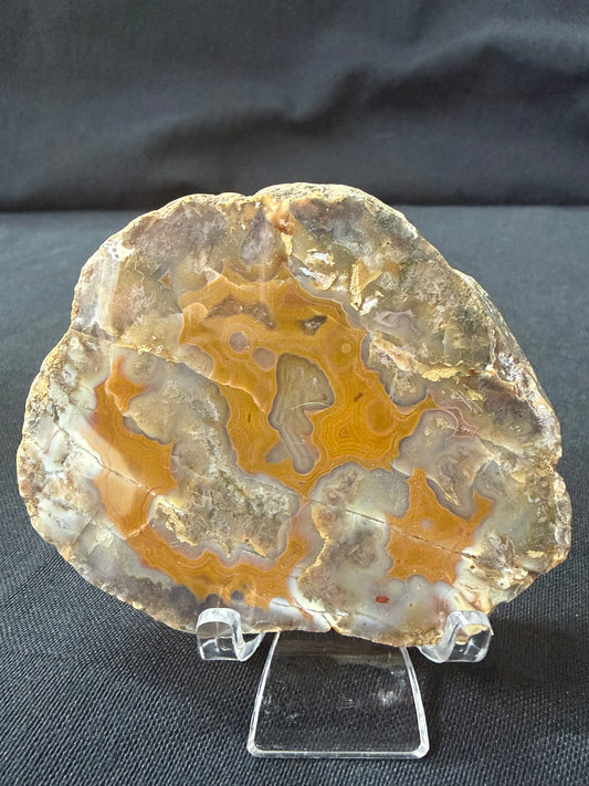 “Stick Figure” KY Agate