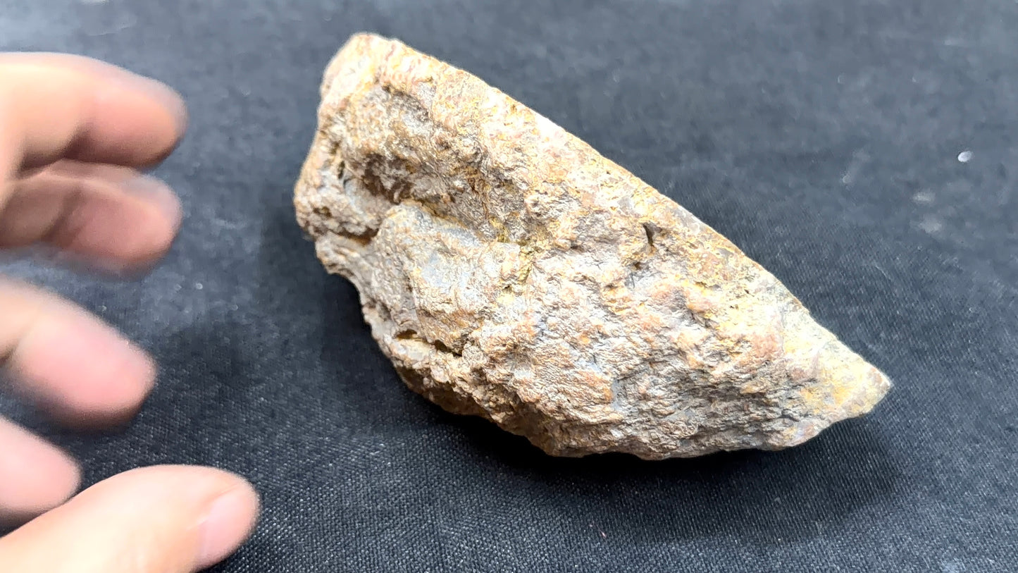 Yellow and greenish Kentucky Agate