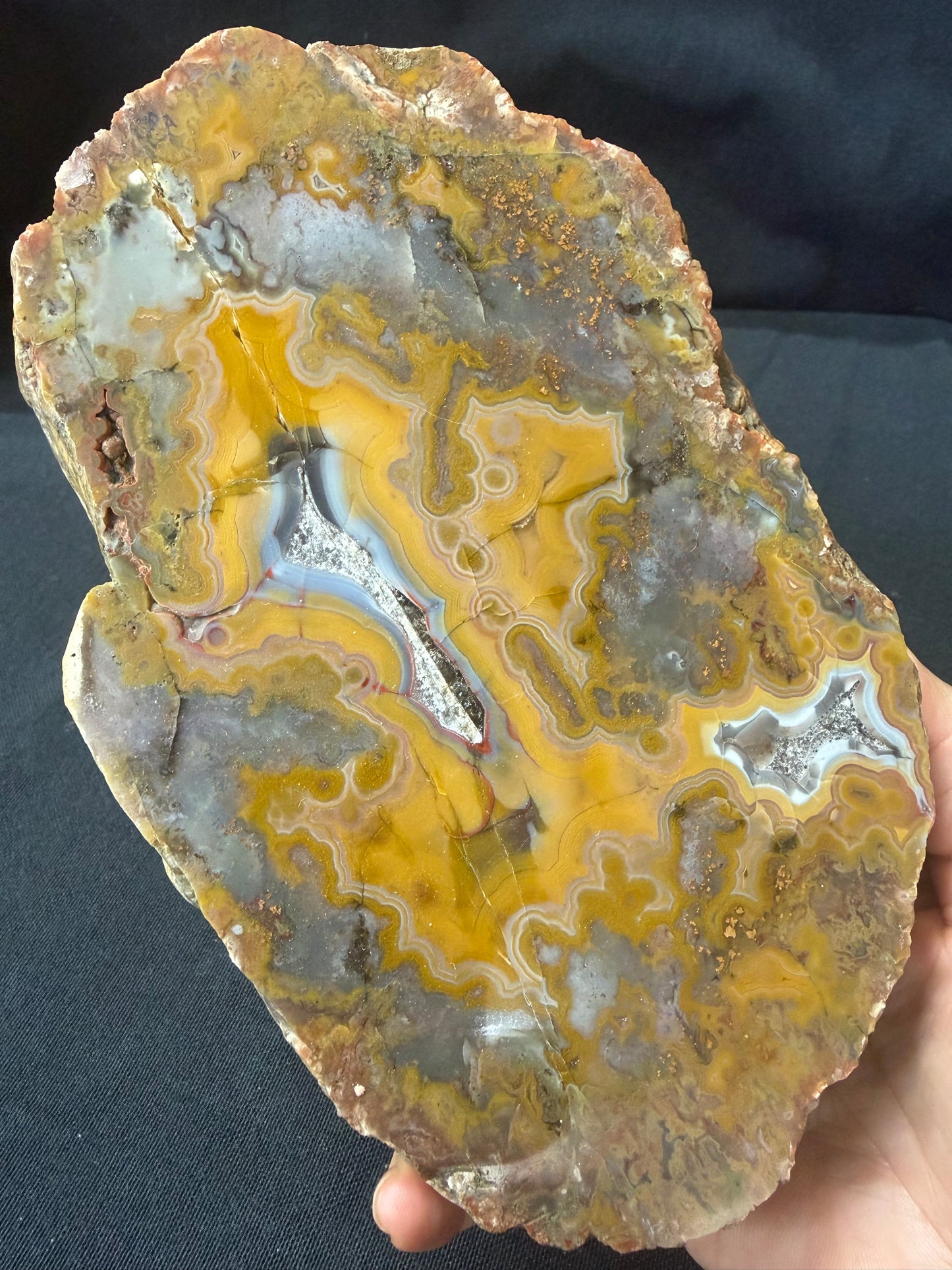 “Plate” KY Agate