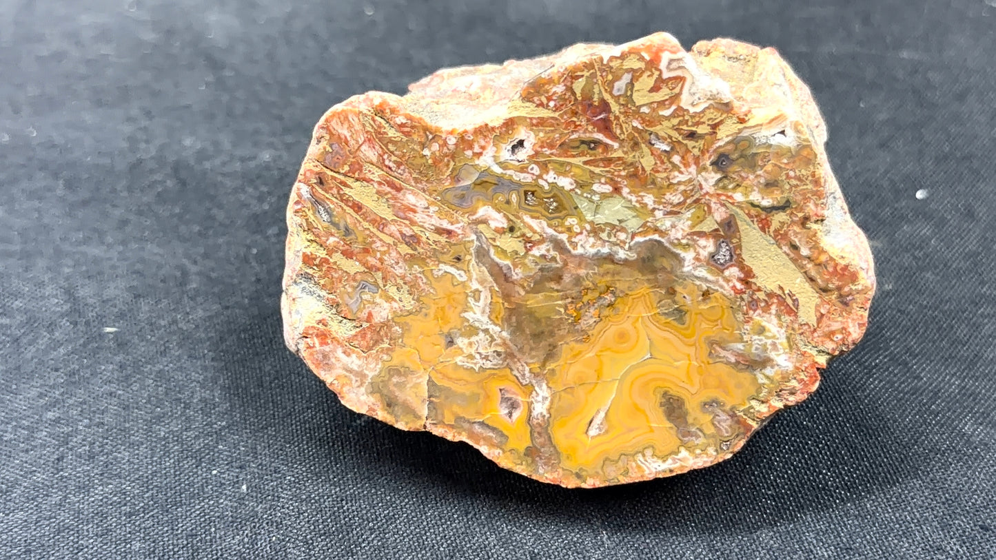 Kentucky Agate and Dolostone