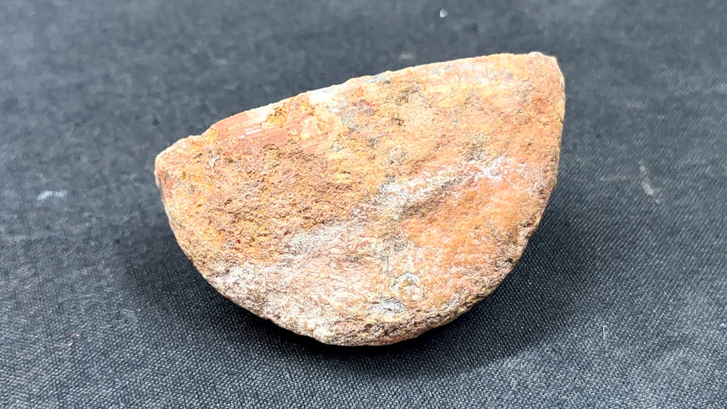 Gray and Neutral Toned Kentucky Agate