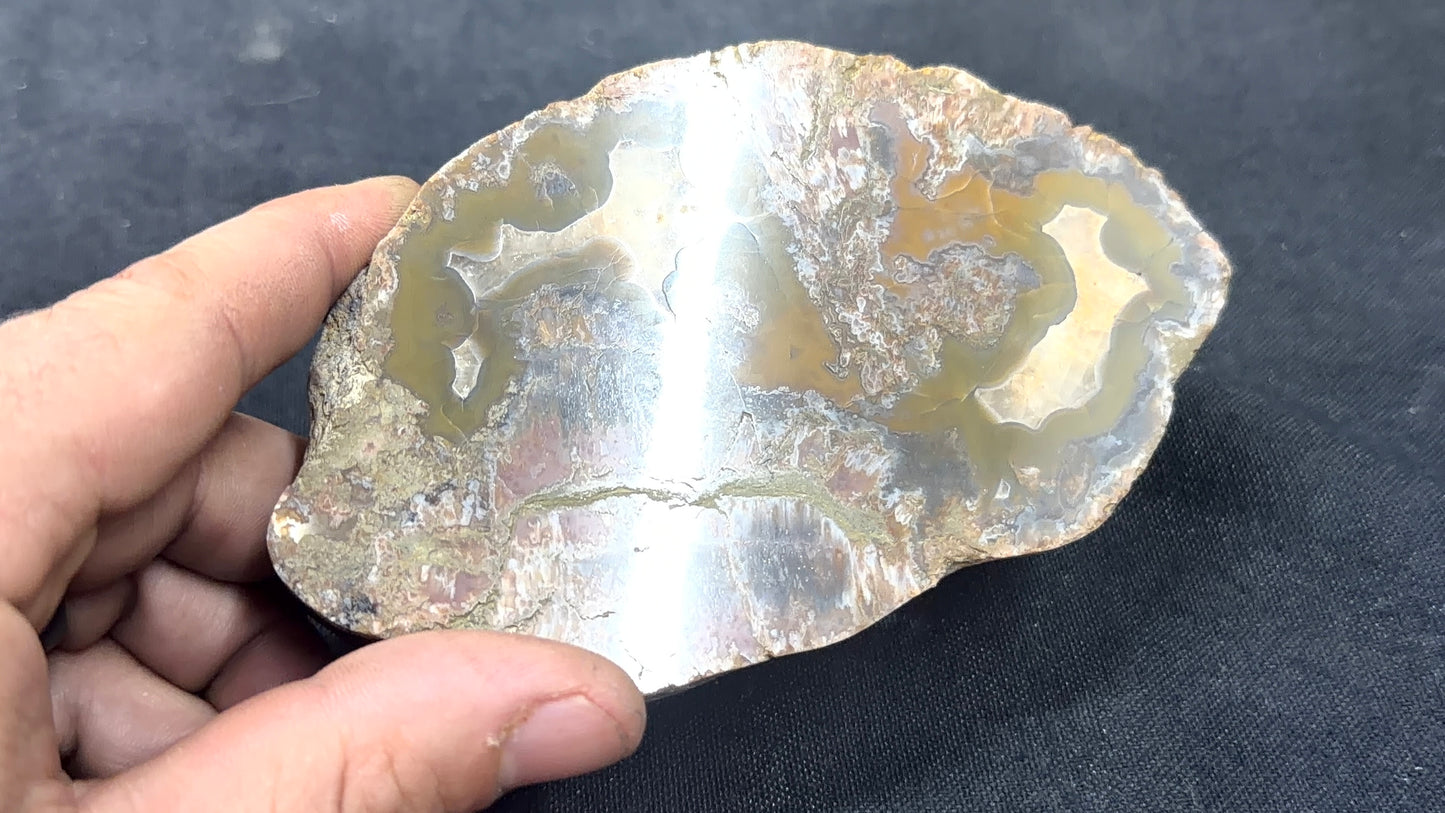 Yellow and greenish Kentucky Agate