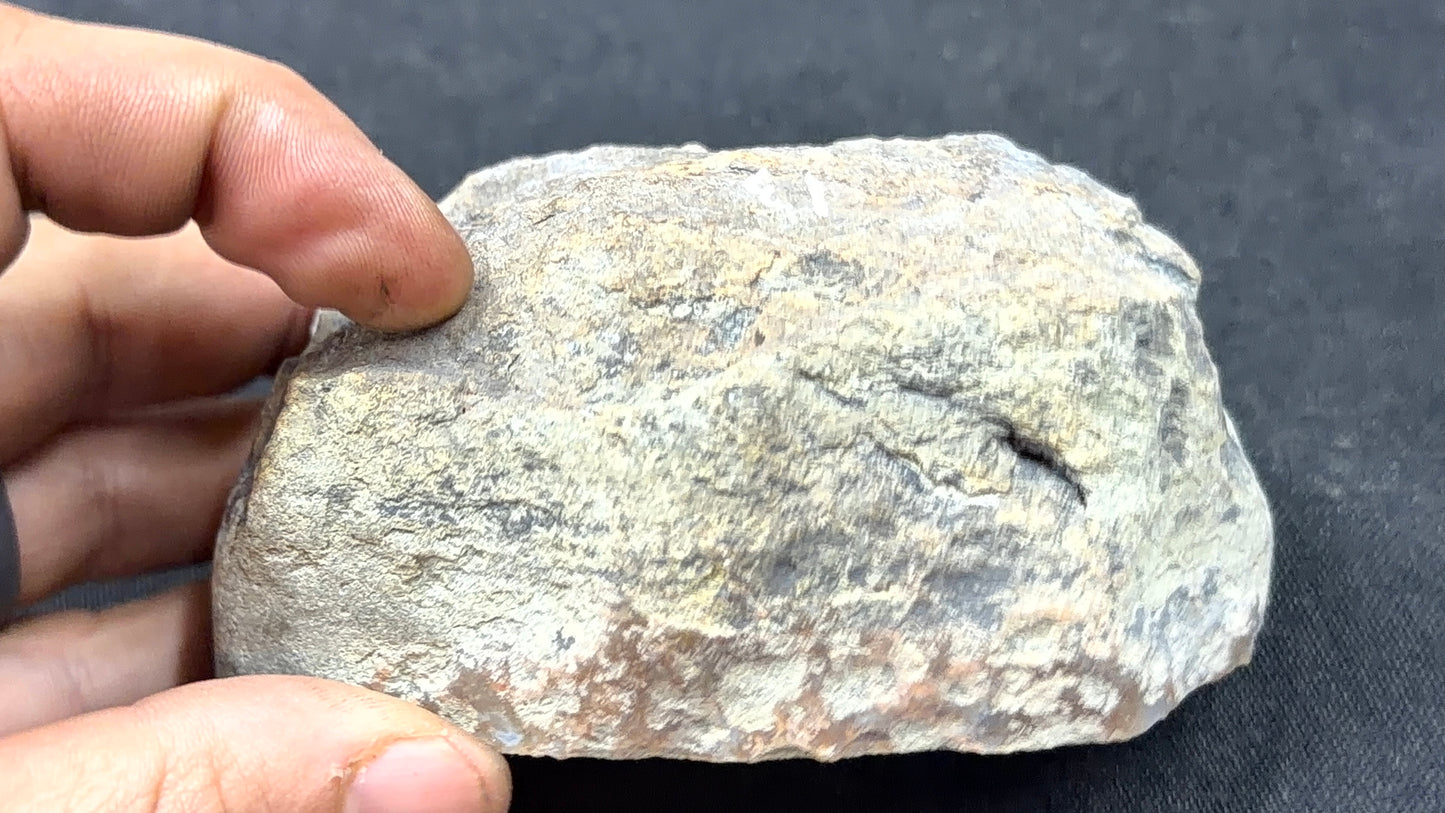 Gray Banded Moss Kentucky Agate