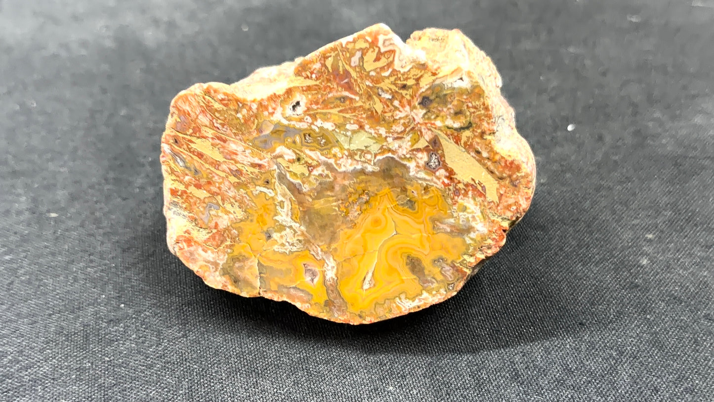 Kentucky Agate and Dolostone