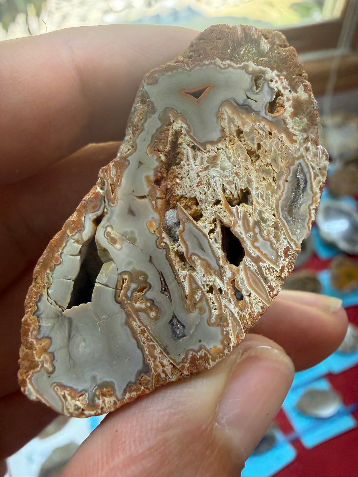 Collapsed Gray Agate